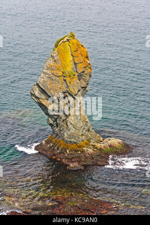 La mer unique pile sur le sentier Skerwink à Terre-Neuve Banque D'Images