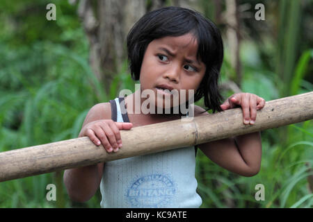 BALI, INDONÉSIE, 11 août 2014 : Une jeune fille cherche son chemin dans la forêt. Banque D'Images