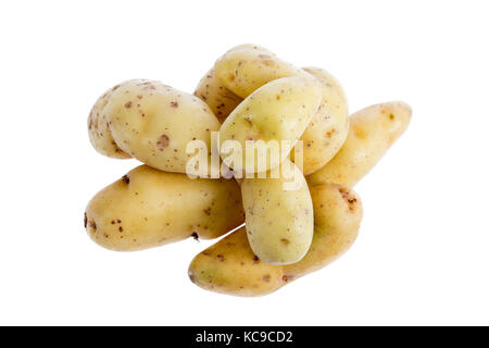 Tubercule de pomme de terre nouveau français isolé sur fond blanc dentelle Banque D'Images