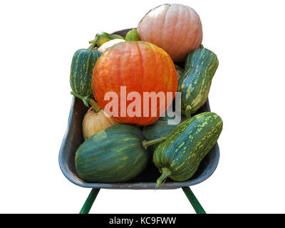 Citrouilles multicolores de différentes variétés dans une brouette isolé sur fond blanc Banque D'Images