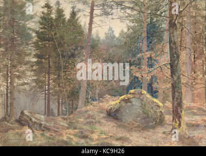 Dans un bois de pin, ca. 1891 Aquarelle sur mine de plomb sur papier, 9 7/8 x 13 3/4 in. (25,1 x 34,9 cm), dessins, James Thomas Banque D'Images