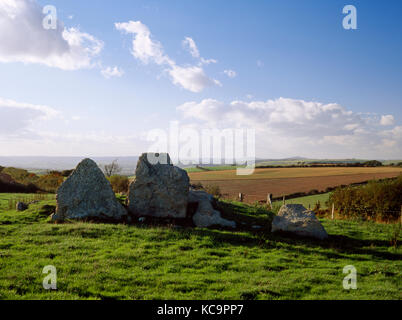 Jument grise et son poulain néolithique Long Barrow, Kingston Russel, Dorset, Angleterre. À l'ouest, à la façade, de la chambre des pierres et des vestiges de cairn. Banque D'Images