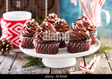 Cupcakes au chocolat et à la menthe de Noël Banque D'Images