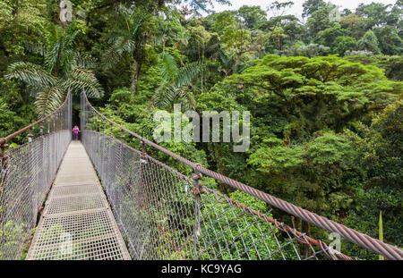 Ponts suspendus Mistico park dans Arenal Costa Rica Banque D'Images