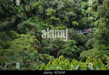 Ponts suspendus Mistico park dans Arenal Costa Rica Banque D'Images