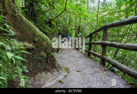 Ponts suspendus Mistico park dans Arenal Costa Rica Banque D'Images