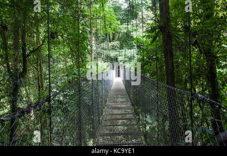 Ponts suspendus Mistico park dans Arenal Costa Rica Banque D'Images