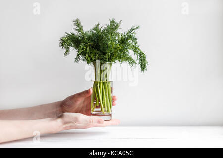 Garde les mains des femmes dans un verre de fenouil frais avec de l'eau Banque D'Images