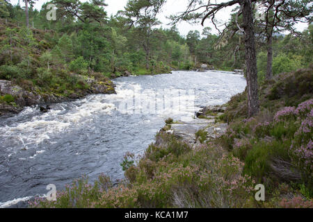 Rushing River Banque D'Images