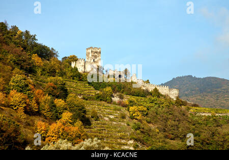 Vallée de la Wachau, Autriche : une ruine médiévale, la forteresse de Hinterhaus, surplombe la ville de Spitz sur le Danube entre Melk et Durnstein. Thi Banque D'Images