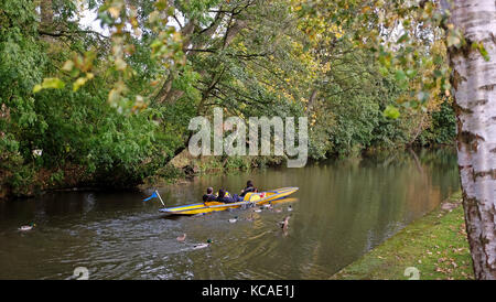 Oxford, UK. 3ème oct 2017. temps pour une agréable promenade en bateau à aubes dans le l'automne chaud météo à Oxford aujourd'hui crédit : Simon dack/Alamy live news Banque D'Images