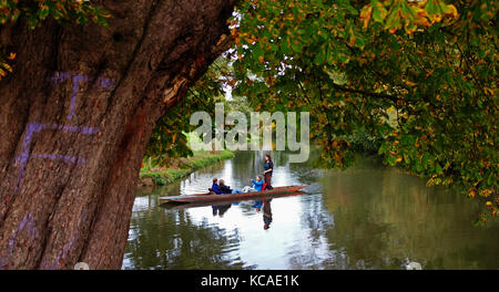 Oxford, UK. 3ème oct 2017. barque sur la rivière en automne chaud météo à Oxford aujourd'hui crédit : Simon dack/Alamy live news Banque D'Images