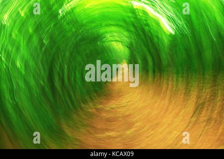 Forêt de flou artistique en arrière-plan du cercle. floue et de couleurs vert frais ciblées en forêt, feuilles d'oranger sur chemin. effet flou hypnotique. Banque D'Images