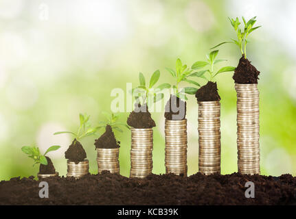 une rangée de piles de pièces de monnaie avec une plante