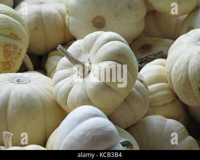 White Baby Boo Pumpkins sur l'affichage à un marché de producteurs Banque D'Images