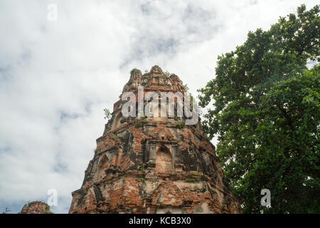 Le complexe du temple en ruine ce que maha qu'à Ayutthaya Banque D'Images