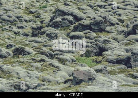 Tapis de mousse souple pierres couvertes en Islande, en été, effet vintage avec du grain Banque D'Images