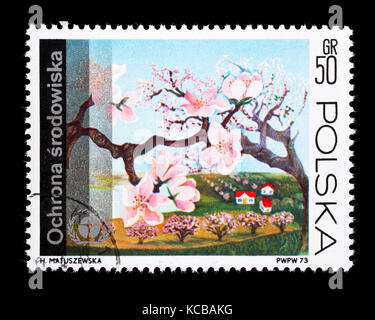 Timbre-poste de la Pologne représentant des fleurs d'arbres fruitiers au printemps. Banque D'Images