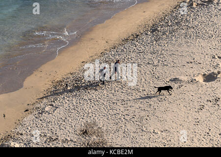 Couple avec chien sur la plage à Barafundle Bay dans la région de Pembrokeshire, pays de l'ouest du pays de Galles, Royaume-Uni Banque D'Images