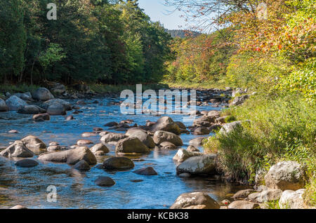 Rivière Ausable dans l'automne avec quelques roches Banque D'Images