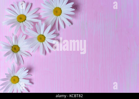 Marguerites sur la table Banque D'Images