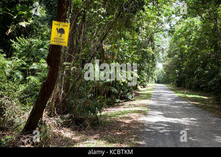 Casoar récentes : traversée routière temporaire signe. septembre 2017. Cow Bay.. l'Australie. Banque D'Images