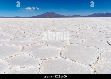 La structure de la croûte de sel, le Salar de Uyuni, altiplano, 3670 m au-dessus du niveau de la mer, la Bolivie, l'Amérique du Sud Banque D'Images