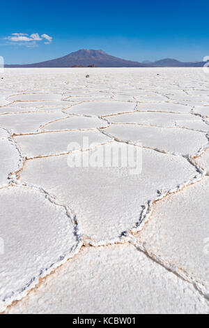 La structure de la croûte de sel, le Salar de Uyuni, altiplano, 3670 m au-dessus du niveau de la mer, la Bolivie, l'Amérique du Sud Banque D'Images