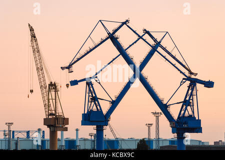 Grues, chantier naval, port étranger, Rostock, Mecklembourg-Poméranie occidentale, Allemagne Banque D'Images