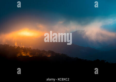 Coucher du soleil dans le Parc National Los quetzales, jungle, forêt de nuages, province de San José, Costa Rica Banque D'Images