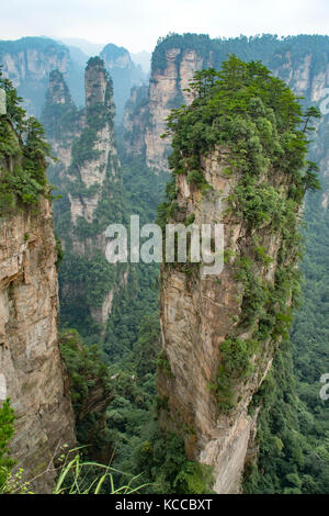 Mihuntai, yuanjiajie wulingyuan scenic area, Banque D'Images