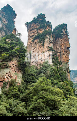 Vue depuis la montagne tianzi, yuanjiajie wulingyuan scenic area, Banque D'Images