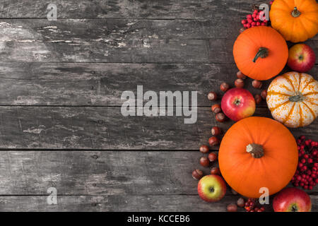 La récolte d'automne de la vie toujours avec les potirons, les pommes, les noisettes et sorbe sur fond de bois, vue du dessus Banque D'Images