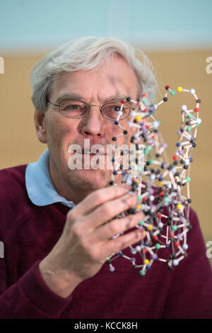 Richard Henderson, qui est l'un des trois scientifiques qui ont partagé le prix Nobel de chimie 2017 pour l'amélioration des images faites de molécules biologiques, examine un modèle d'une bactériorhodopsine, comme il parle au Laboratoire de biologie moléculaire à Cambridge, où il travaille. Banque D'Images