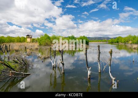 Lashi lake marge à Lijiang lashihai réserve naturelle des zones humides du plateau du Yunnan, li et naxi. D'importantes minorités ethniques et grands zone de migration des oiseaux Banque D'Images