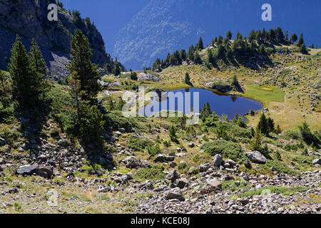 Le bétail se délasse autour d'un petit lac de montagne dans la chaîne de Chamrousse Banque D'Images