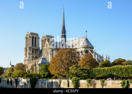 Trois quart vue arrière de la cathédrale Notre-Dame de Paris par un beau soir au début de l'automne. Banque D'Images