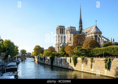 Trois quart vue arrière de la cathédrale Notre-Dame de Paris et de la Seine par un beau soir au début de l'automne. Banque D'Images