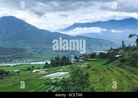 La vallée de Punakha, Bhoutan, est une zone fertile de rizières entourées de montagnes abruptes Banque D'Images