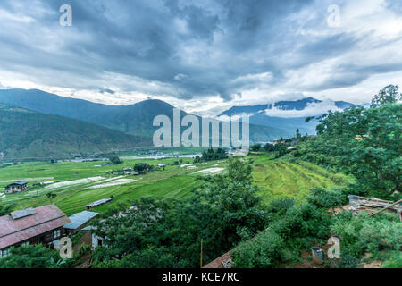 La vallée de Punakha, Bhoutan, est une zone fertile de rizières entourées de montagnes abruptes Banque D'Images