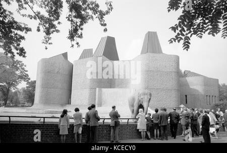 Le zoo de Londres, Regents Park, Grand Londres. Vue générale du pavillon d'éléphants et de rhinocéros montrant des foules et de l'éléphant. conçue par sir Hugh casson, Banque D'Images