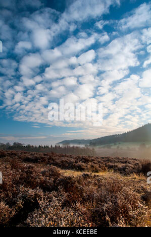 Une vue sur la lande de bruyère sur Spaunton vers un brouillard-remplie Rosedale dans le North York Moors National Park. Huton-le-trou, Yorkshire du Nord. Décembre Banque D'Images