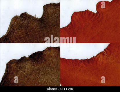 Ensemble de bords déchiquetés en daim en terre cuite et texture de cuir de crocodile marron Banque D'Images