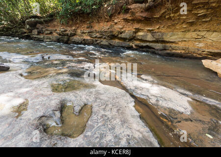 Empreinte de dinosaure ( Carnotaurus ) sur terre près du ruisseau au parc forestier national de Phu Faek , Kalasini , Thaïlande . De l'eau y est consignée . Banque D'Images