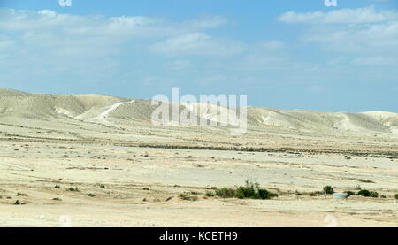 Paysage désertique, montrant un minimum de végétation, désert du Néguev, dans le sud d'Israël Banque D'Images