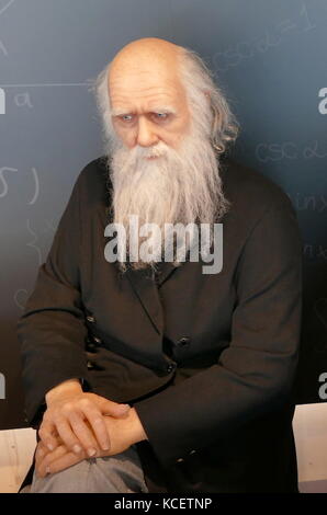 Sculpture cire cire () de Charles Darwin, (1809 - 1882), un naturaliste et géologue anglais, connu pour ses contributions à la science de l'évolution. CosmoCaixa Museum, Barcelone, Espagne Banque D'Images