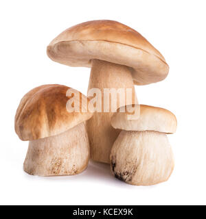 Trois champignons frais isolé sur fond blanc Banque D'Images