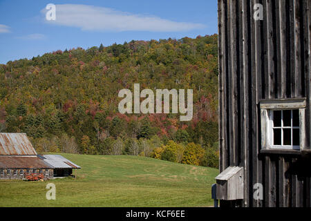 Woodstock, Vermont, USA. 4ème Oct 2017. Le 4 octobre 2017. Plymouth, Massachusetts. Les couleurs des feuilles d'automne dans le Nord du Vermont cette année en raison des températures chaudes en laissant les arbres principalement vert et le bleu ciel près de Plymouth, Massachusetts. Credit : Ralph Lauer/ZUMA/Alamy Fil Live News Banque D'Images