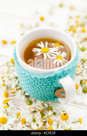 De camomille dans une tasse recouverte de laine Banque D'Images