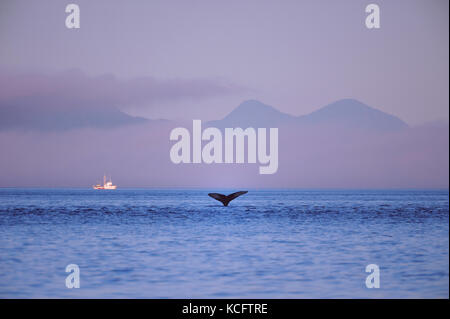 Prises le long du nord de Vancouver, tout droit de Johnstone Island, BC Canada Banque D'Images